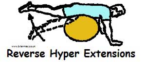 Reverse hyper extension